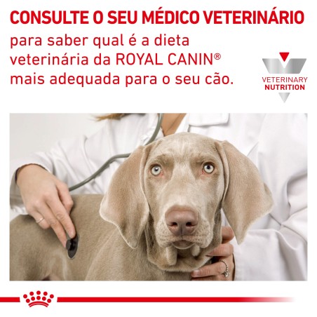 Ração para cão pequeno Royal Canin Anallergenic Small dogs