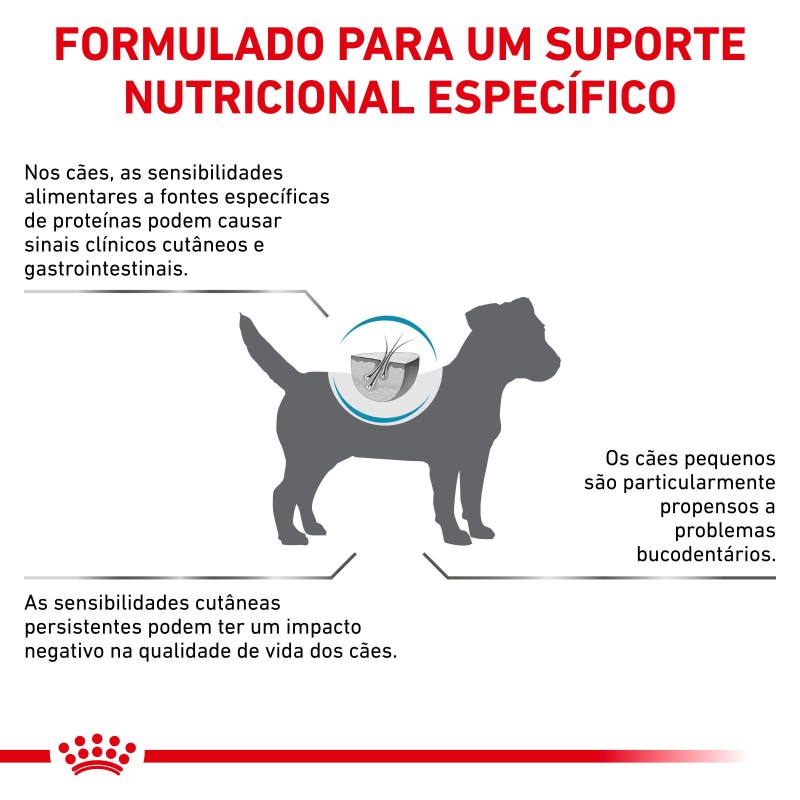 Ração para cão pequeno Royal Canin Anallergenic Small dogs