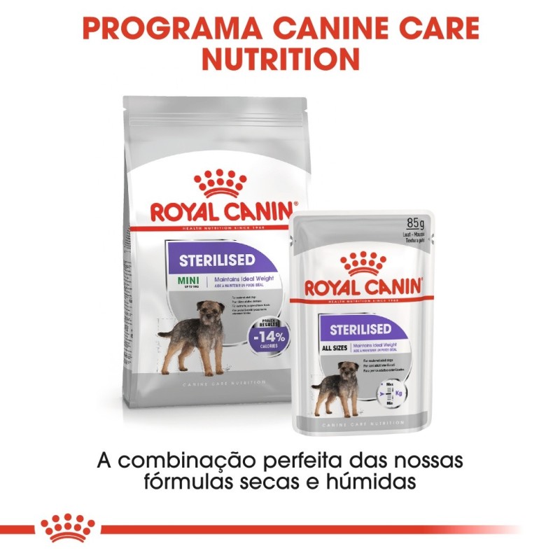 Ração para cão Royal Canin Mini Esterilizado