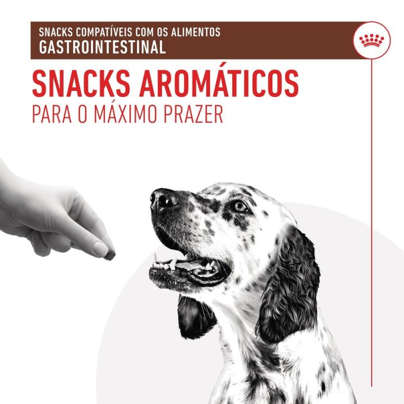 Royal Canin VET Treats Gastrointestinal - Snacks para cão com problemas digestivos