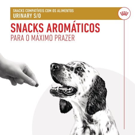 Snacks para cão adulto com problemas urinários - Royal Canin VET Treats Urinary