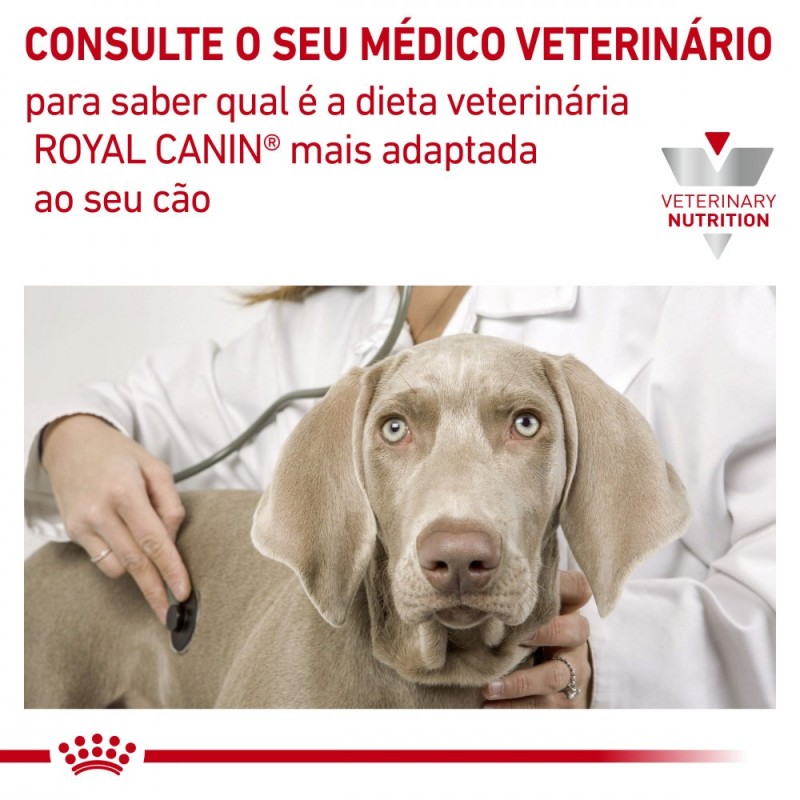 Ração para cão Royal Canin Hypoallergenic