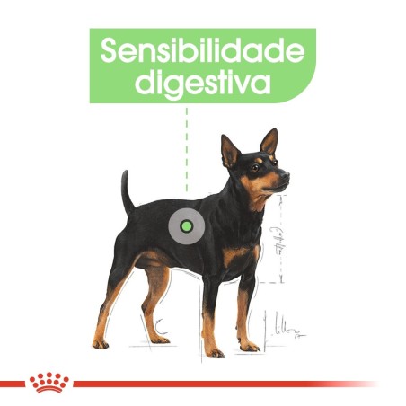 Ração para cão Royal Canin Mini Digestive Care