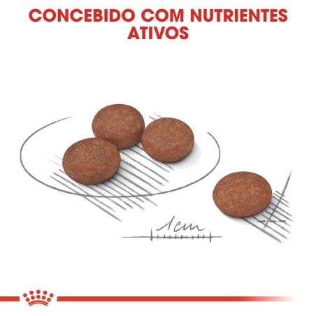 Ração para cão Royal Canin Mini Digestive Care