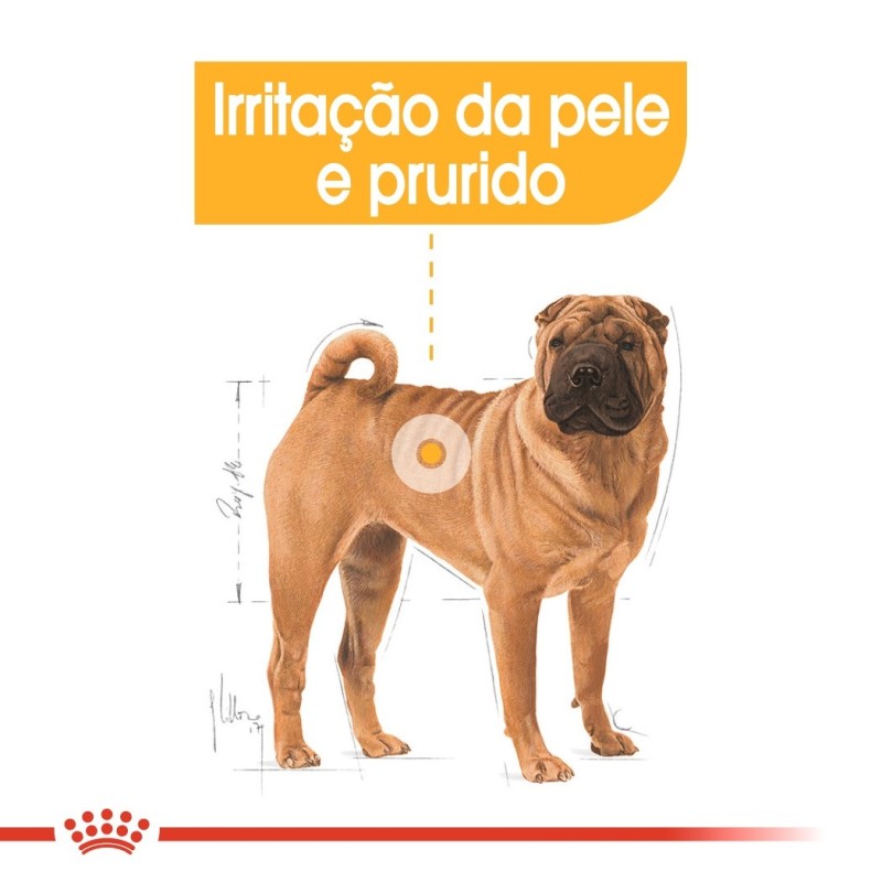 Ração para Cão Royal Canin Medium Dermacomfort