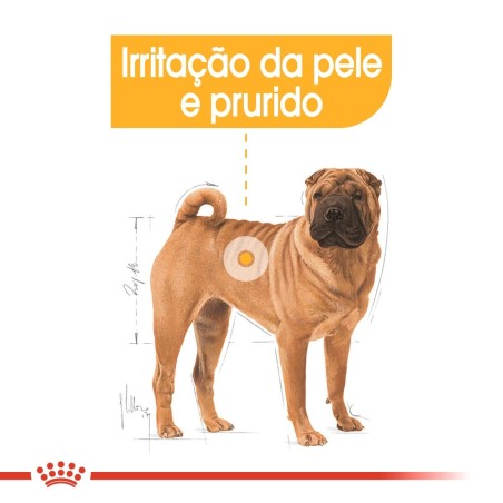 Ração para Cão Royal Canin Medium Dermacomfort