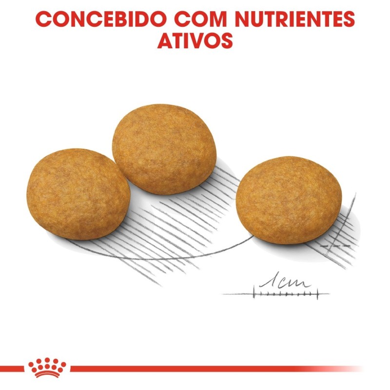 Ração para Cão Royal Canin Medium Dermacomfort