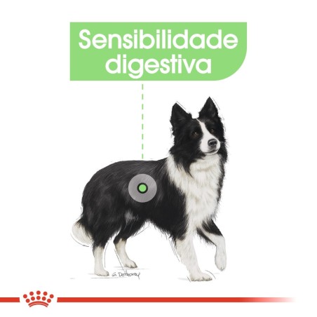 Ração para Cão Royal Canin Medium Digestive Care