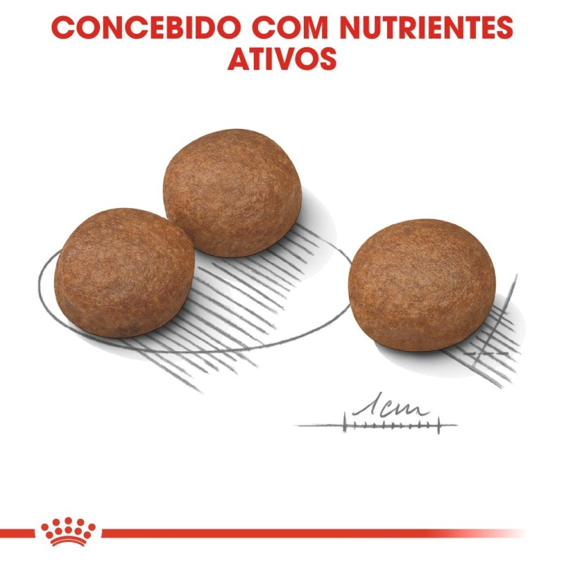 Ração para Cão Royal Canin Medium Digestive Care
