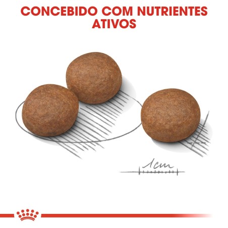 Ração para Cão Royal Canin Medium Digestive Care