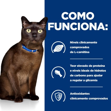 Hill's PD Diabetes Care - Ração seca para gato com diabetes