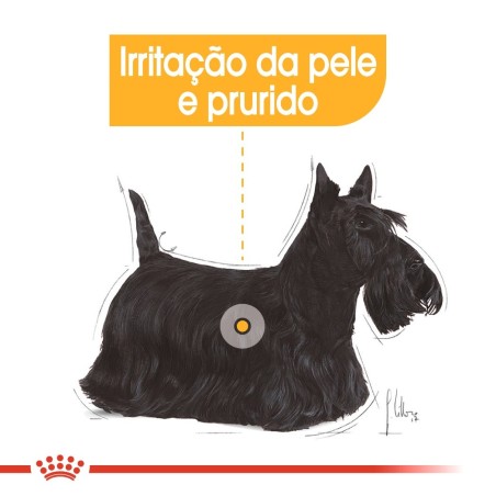 Ração para cão Royal Canin Mini Dermacomfort