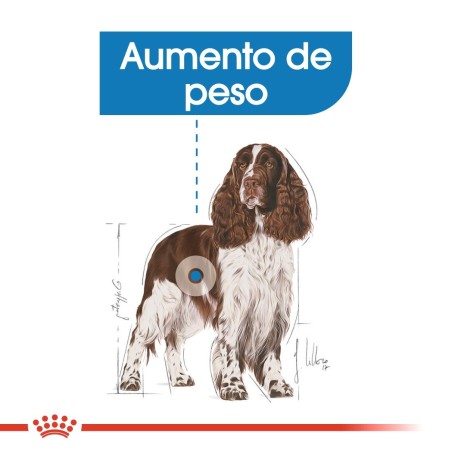 Ração para Cão Royal Canin Medium Light Weight Care