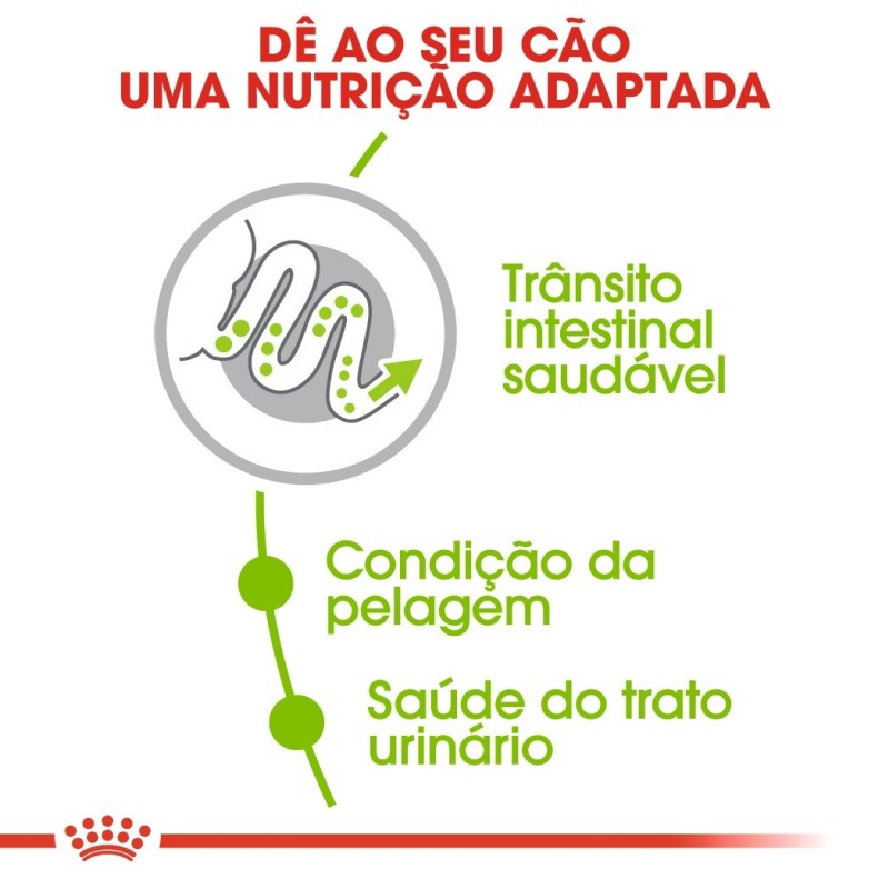 Ração para cão Royal Canin X-Small Adulto