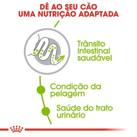 Ração para cão Royal Canin X-Small Adulto