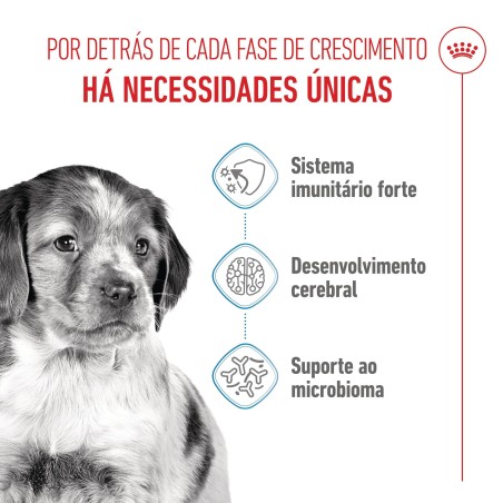 Ração para cão - Royal Canin Puppy Medium