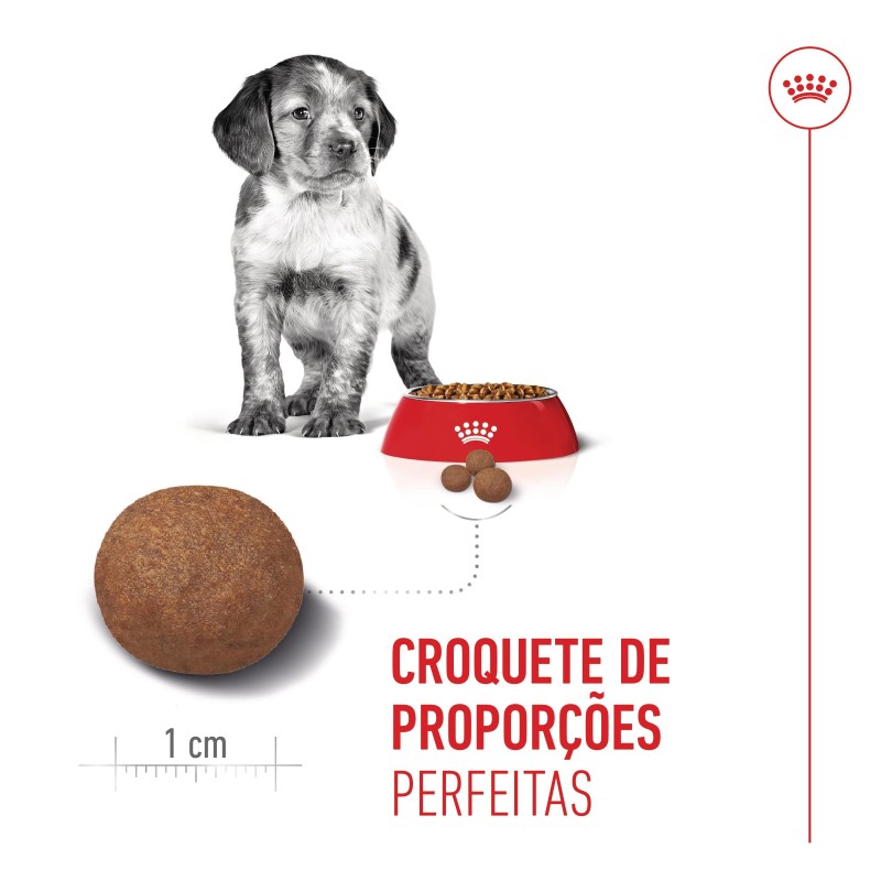 Ração para cão - Royal Canin Puppy Medium