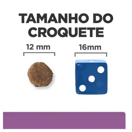 Hill's PD Brain Aging Care b/d - Ração seca para cão para fortalecer o cérebro