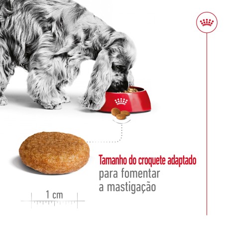Ração para cão Royal Canin Medium Adulto