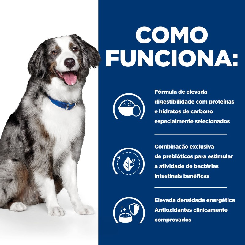 Hill's i/d Sensitive Digestive Care para cão adulto