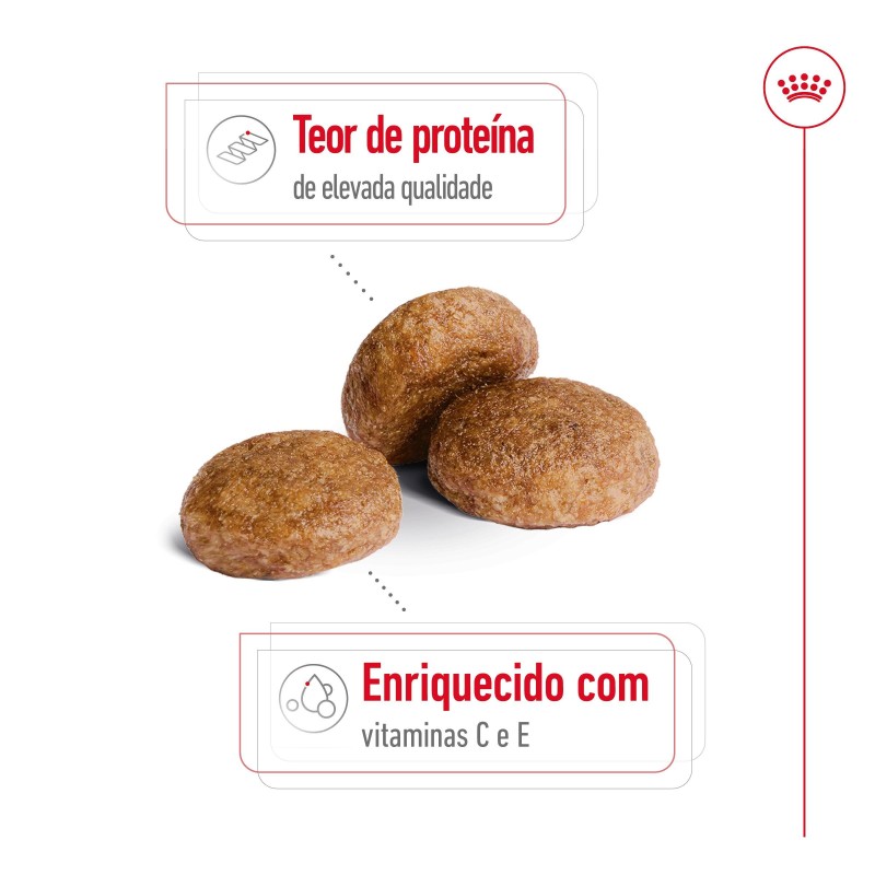 Ração para cão Royal Canin Medium Adult 7+