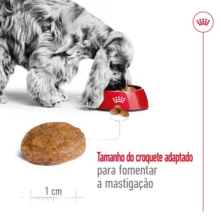 Ração para cão Royal Canin Medium Adult 7+