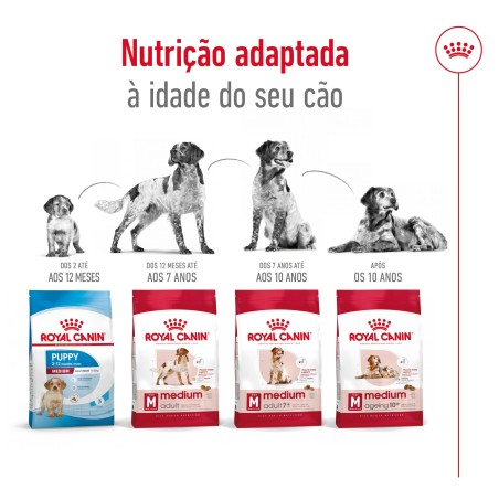 Ração para cão Royal Canin Medium Adult 7+