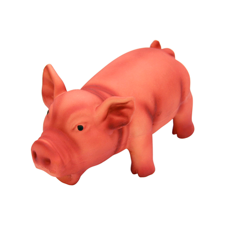 Porco de Latex