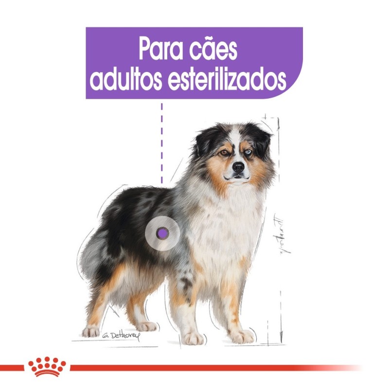 Ração para cão Royal Canin Medium Sterilised
