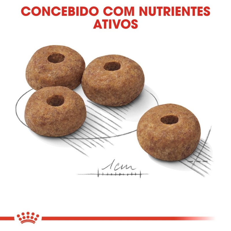 Ração para cão Royal Canin Medium Sterilised