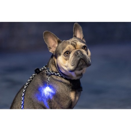 Identificador Led Maxi Safe - Kerbl