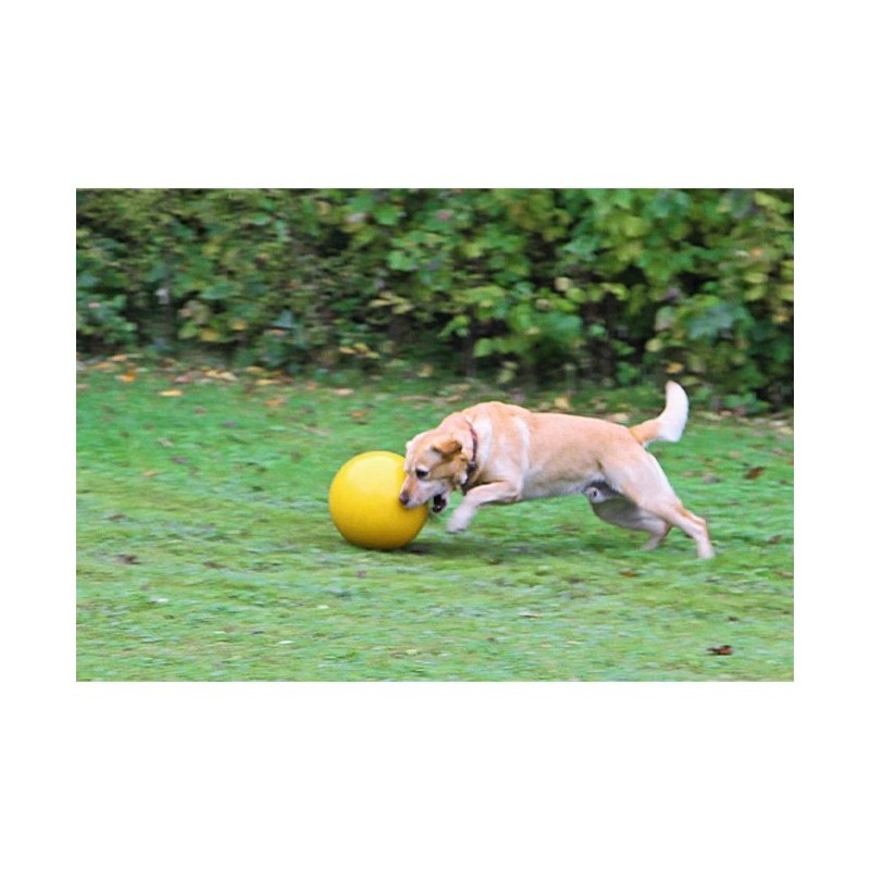 Brinquedo para cão - Bola de plástico