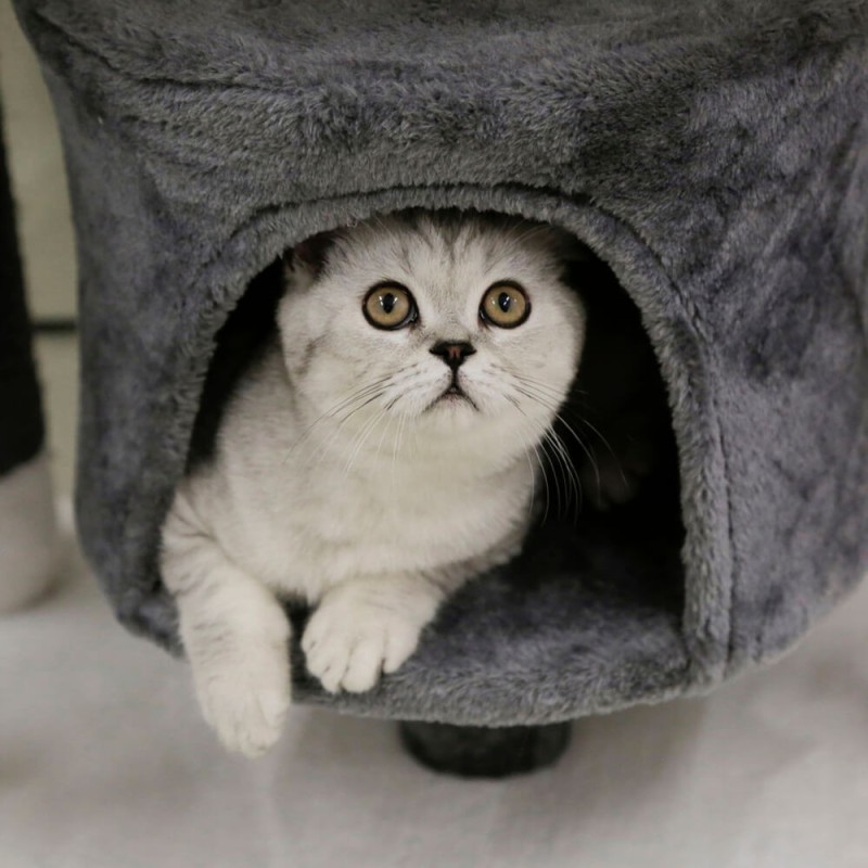Arranhador para gatos - Jade Darklight Kerbl