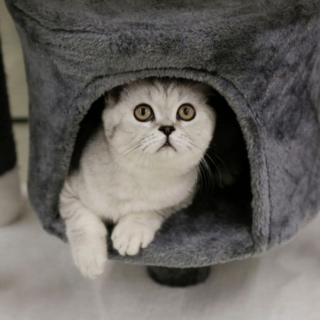 Arranhador para gatos - Jade Darklight Kerbl