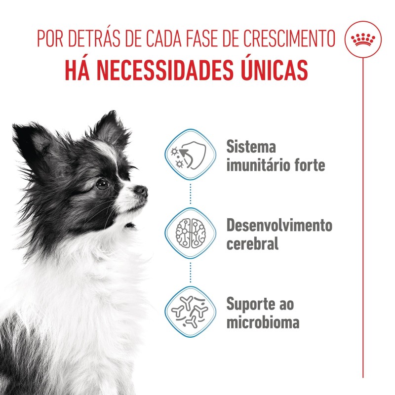 Ração para cão Royal Canin Puppy X-Small