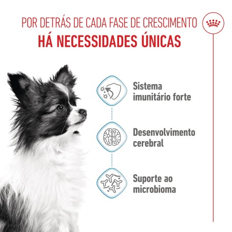 Ração para cão Royal Canin Puppy X-Small