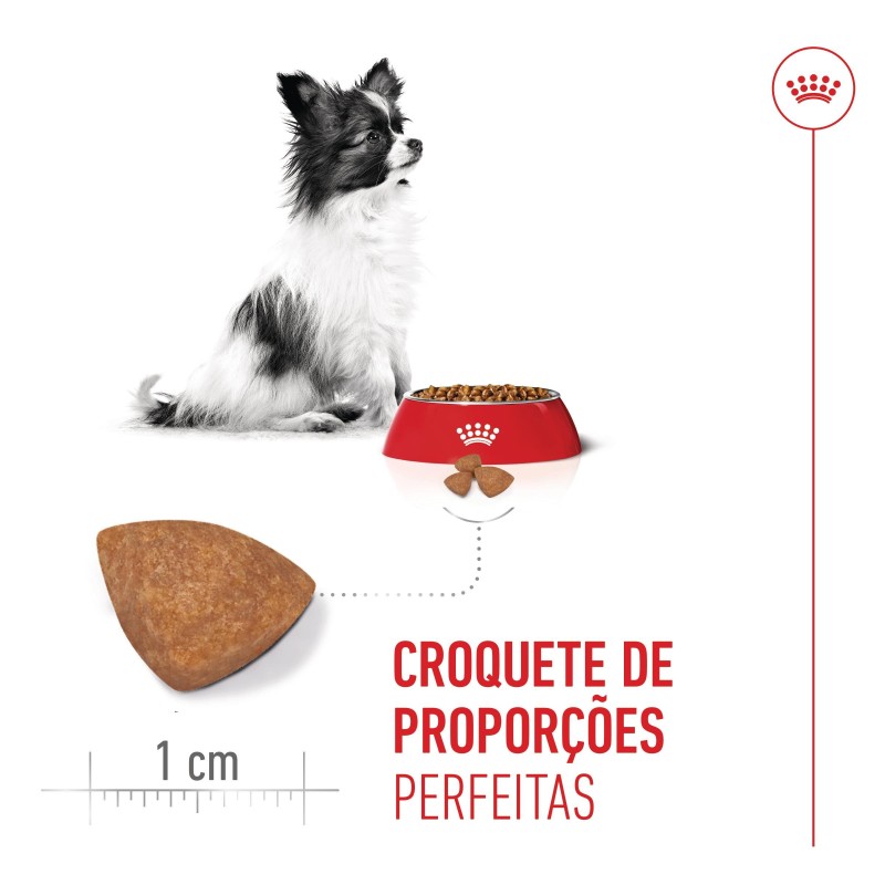 Ração para cão Royal Canin Puppy X-Small