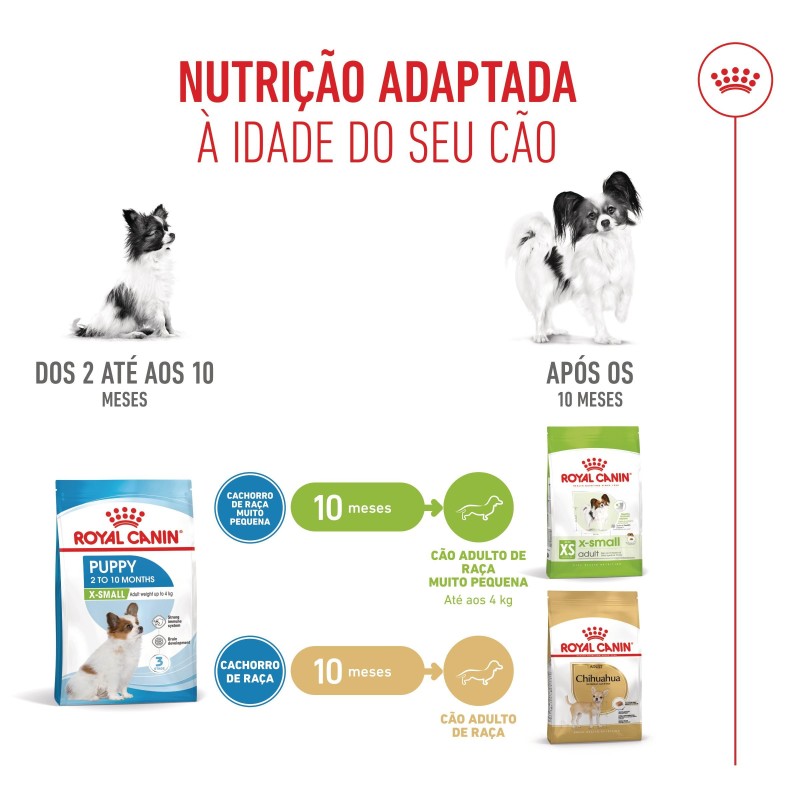 Ração para cão Royal Canin Puppy X-Small