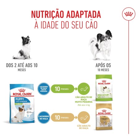 Ração para cão Royal Canin Puppy X-Small