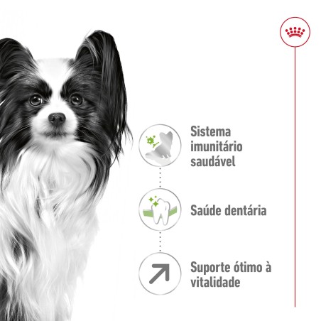 Ração para cão Royal Canin X-Small Adulto 8+