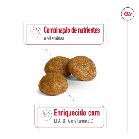 Ração para cão Royal Canin X-Small Adulto 8+