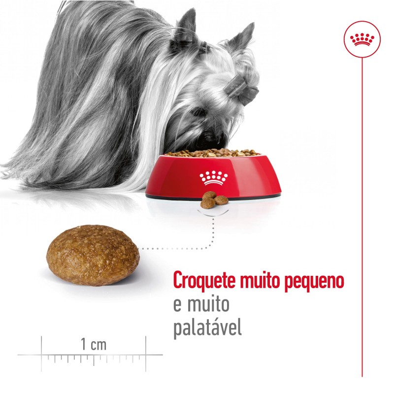 Ração para cão Royal Canin X-Small Adulto 8+