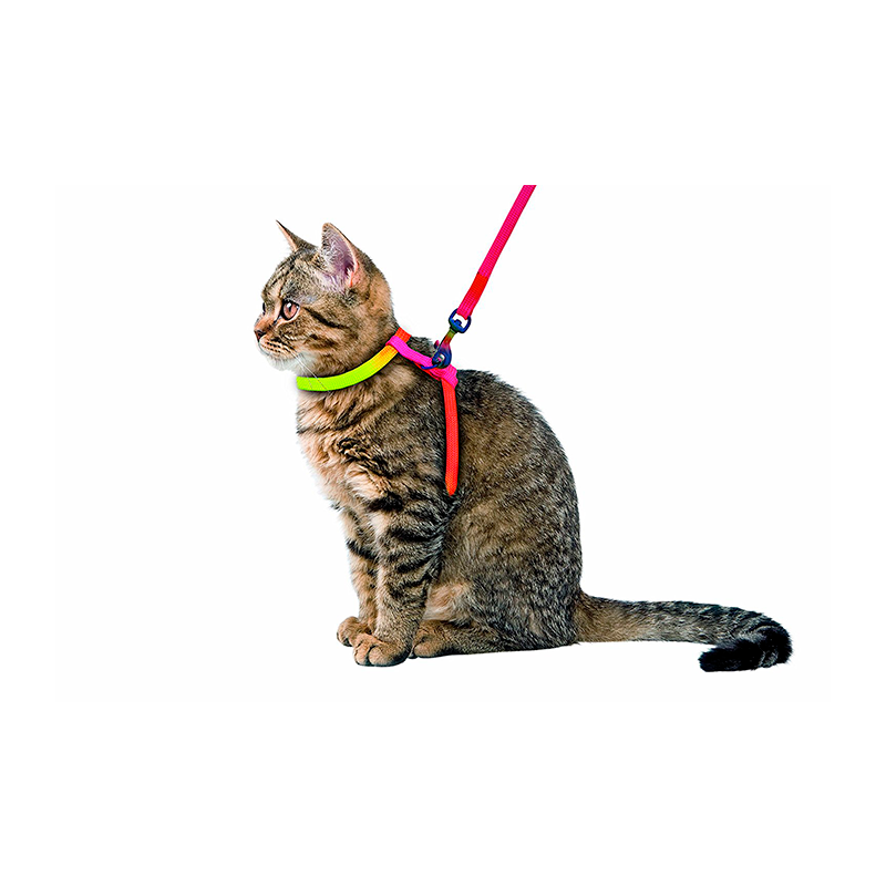 Arnês para gato RAINBOW (1uni.)
