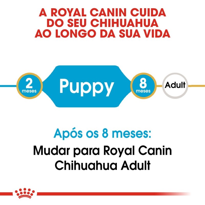 Ração para cão Royal Canin Chihuahua Puppy