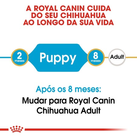 Ração para cão Royal Canin Chihuahua Puppy