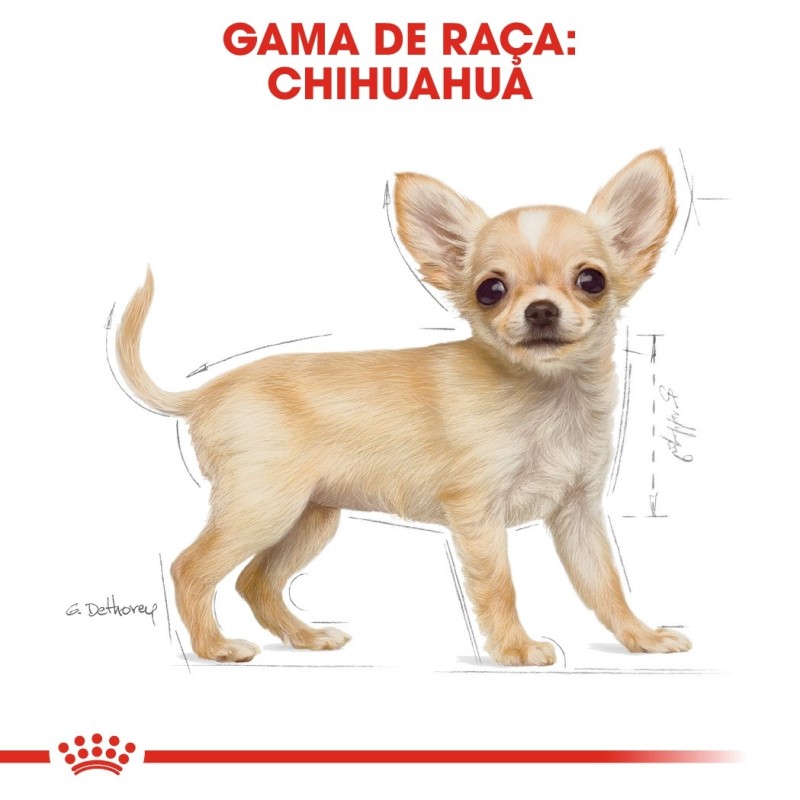 Ração para cão Royal Canin Chihuahua Puppy