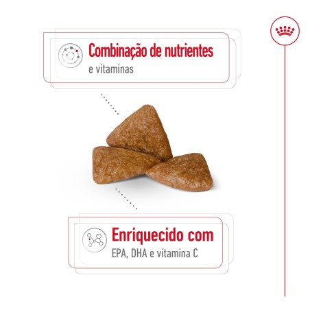 Ração para cão Royal Canin X-Small Sénior 12+
