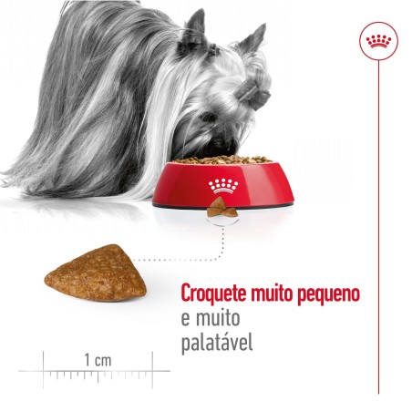 Ração para cão Royal Canin X-Small Sénior 12+