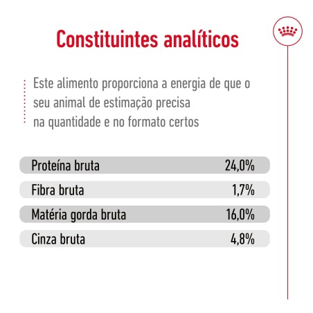 Ração para cão Royal Canin X-Small Sénior 12+
