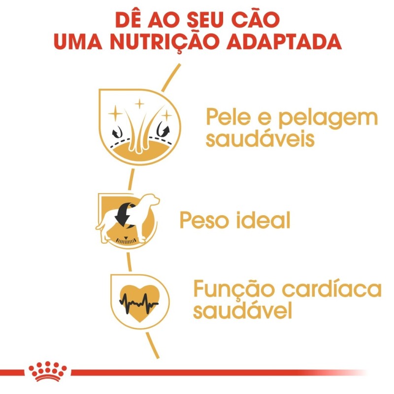 Ração para cão Royal Canin Cocker
